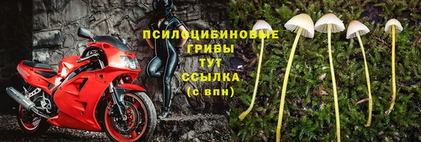 каннабис Нефтекумск
