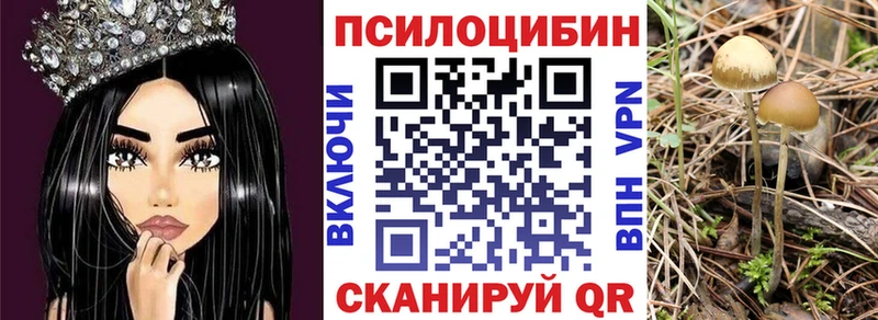 цены   Красноярск  Галлюциногенные грибы MAGIC MUSHROOMS 