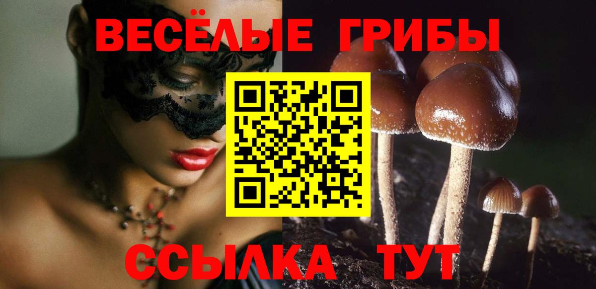 Псилоцибиновые грибы мухоморы  Галлюциногенные грибы Cubensis  Красноярск 